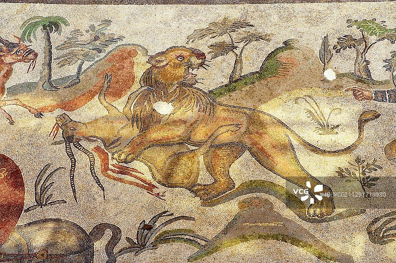 意大利西西里罗马别墅的古罗马猎狮马赛克图片素材