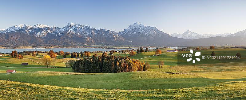 阿尔卑斯山秋季山麓，福尔根湖，阿尔高，上巴伐利亚，德国图片素材