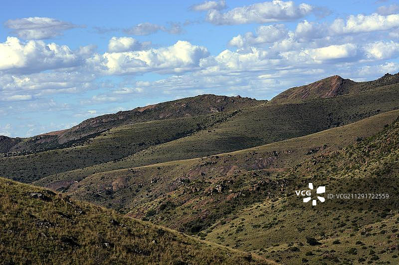 南非东开普省山斑马国家公园的风景图片素材