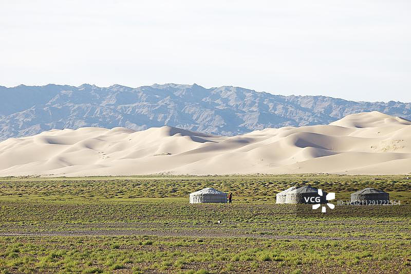 戈壁古尔万塞汗国家公园，戈壁沙漠，南部沙漠，蒙古包或蒙古包，在洪戈林埃尔斯大沙丘前的绿色草原上图片素材