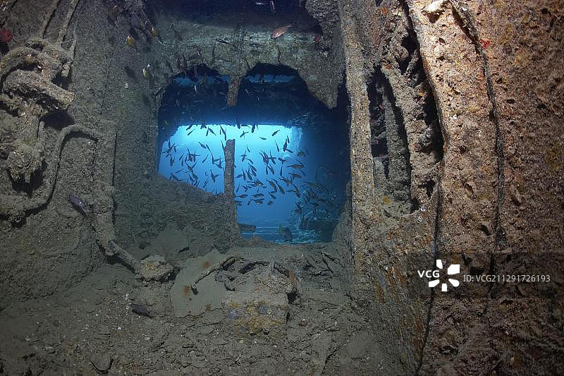 瓦尼科罗扫帚鱼群的货舱空间，SS西斯尔戈姆号沉船，红海，沙阿卜阿里，西奈半岛，埃及，非洲图片素材