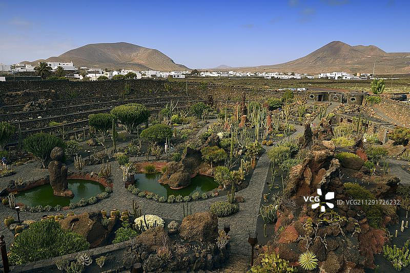 从仙人掌花园观看，该花园由艺术家塞萨尔·曼里克设计，位于瓜蒂萨，兰萨罗特岛，加那利群岛，西班牙图片素材