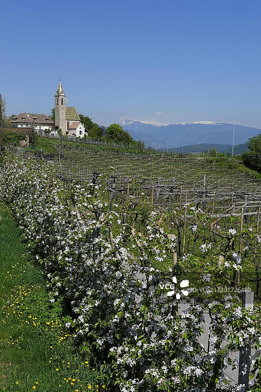 阿尔滕堡，位于卡尔特恩，上埃奇，意大利南蒂罗尔州下埃奇区，欧洲图片素材