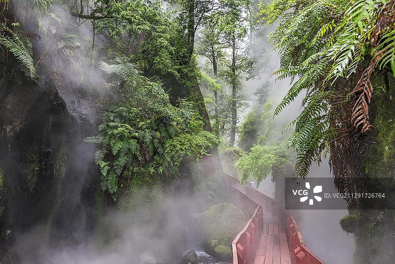 智利洛斯里奥斯地区几何温泉峡谷中热气腾腾的温泉图片素材