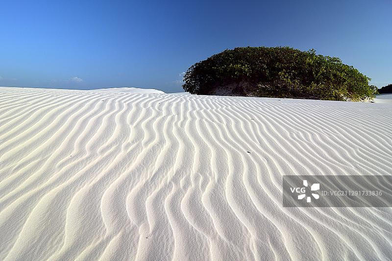 巴西马拉尼昂伦索伊斯沙漠图片素材