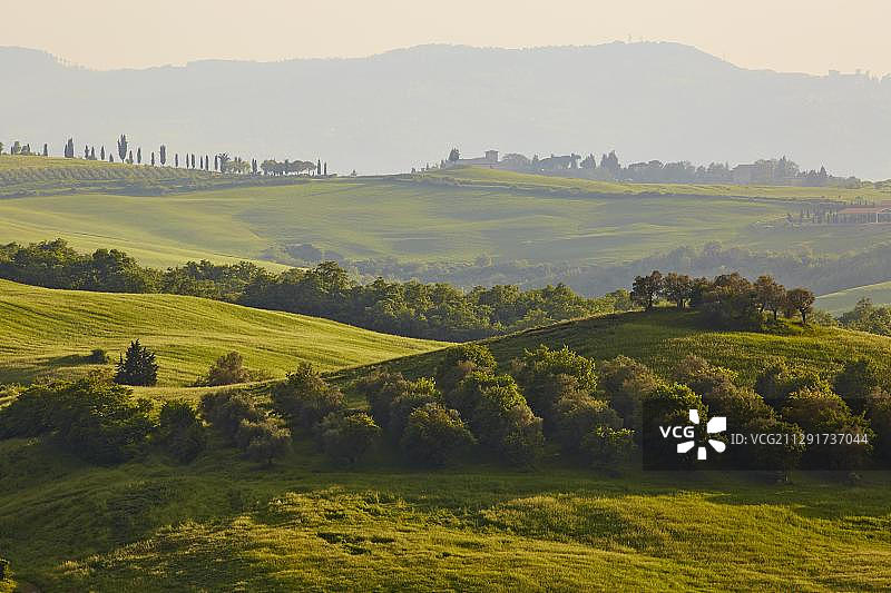 意大利托斯卡纳锡耶纳白土区丘陵景观图片素材