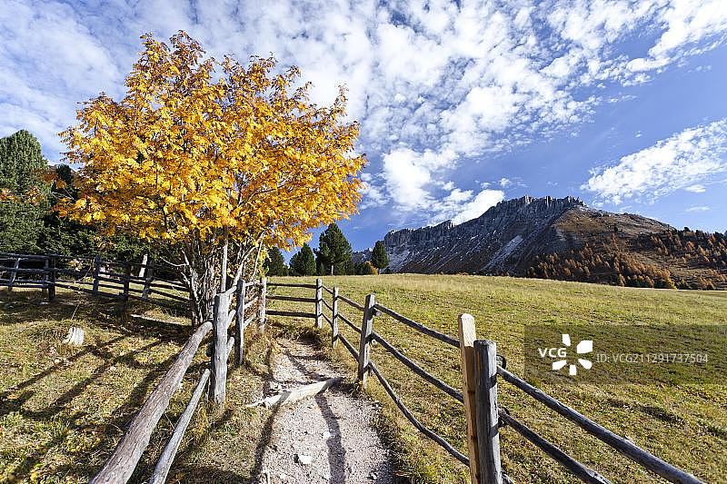 多洛米蒂南蒂罗尔的甘佩草甸图片素材