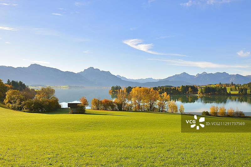 德国巴伐利亚阿尔高地区罗斯豪普滕的福根湖秋日清晨图片素材