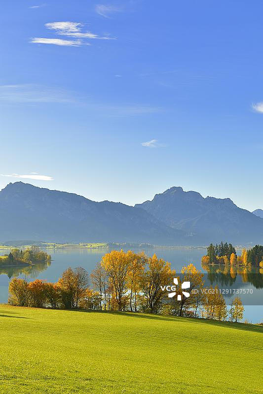 德国巴伐利亚阿尔高地区罗斯豪普滕的福根湖秋日清晨图片素材