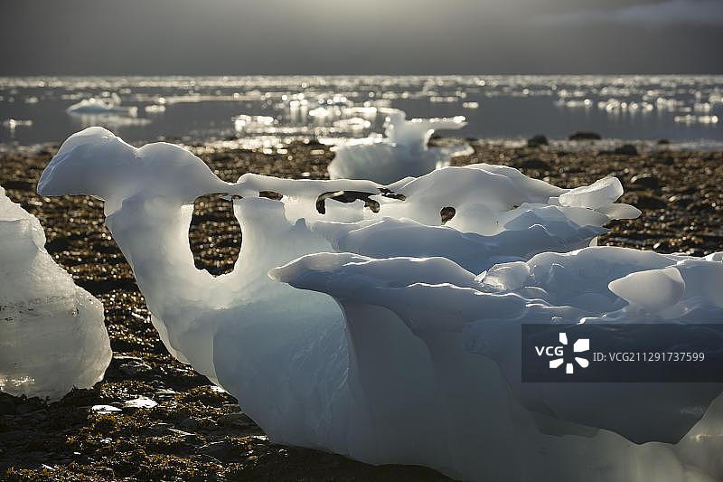 阿拉斯加威廉王子湾学院峡湾的冰层图片素材