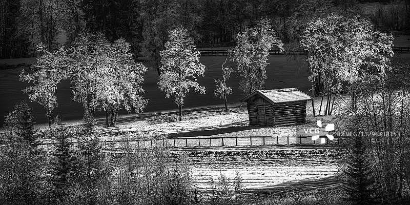 奥地利蒂罗尔州格施尼茨塔尔山谷覆满霜冻的树木图片素材