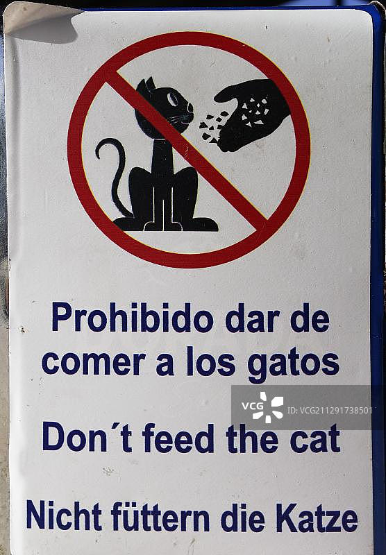 三语标志：请勿喂猫，西班牙语、英语和德语，位于西班牙拉帕尔马岛图片素材