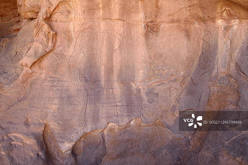 非洲撒哈拉岩石雕刻：大象图片素材