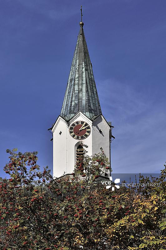 巴伐利亚巴特欣德朗圣约翰教堂钟楼和红色花楸果图片素材