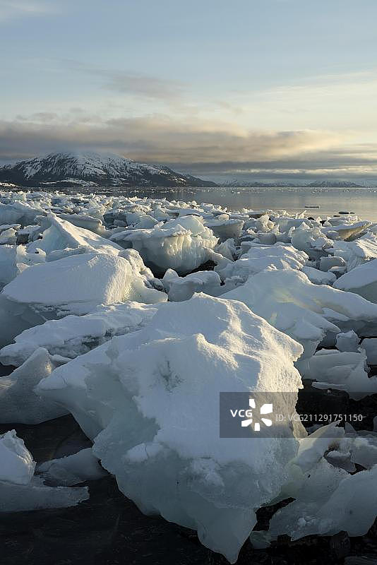 冰块、学院峡湾、威廉王子湾、安克雷奇、阿拉斯加、美国、北美图片素材
