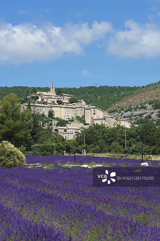 眺望薰衣草田和村庄，法国普罗旺斯巴农图片素材