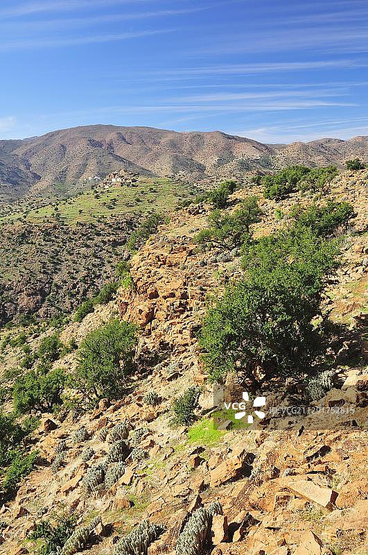 摩洛哥南部苏斯-马塞-德拉地区的岩石山丘和刺阿干树图片素材