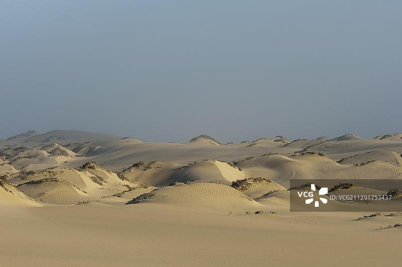 非洲纳米比亚骷髅海岸国家公园沙丘图片素材