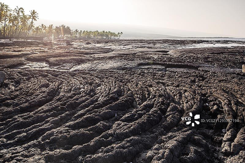美国夏威夷海岸凝固的熔岩图片素材