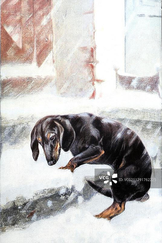 《浪子回头》，雪地腊肠犬，现代艺术木刻大师作品，1900年年鉴图片素材