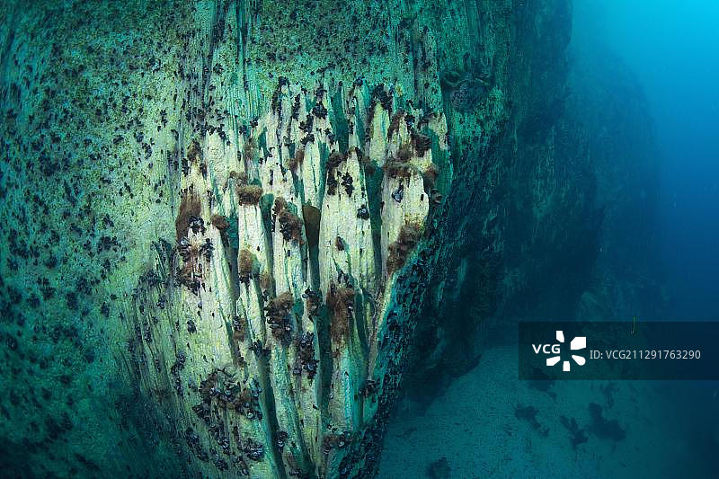 菲律宾梭鱼湖水下拍摄图片素材