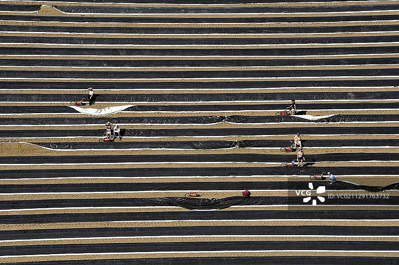 德国梅克伦堡-西波美拉尼亚州采笋航拍图片素材
