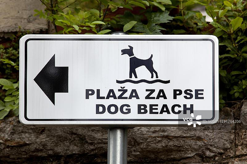 克罗地亚奥帕蒂亚海滩的宠物狗标志图片素材