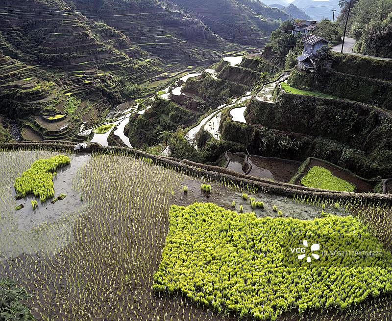 菲律宾伊富高巴纳韦梯田，也称为穆苏安峰图片素材