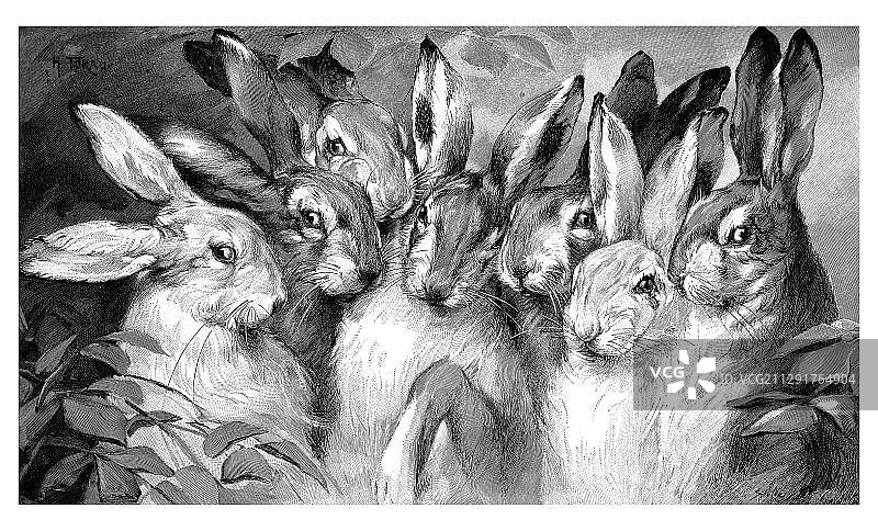 恭喜，《大师木刻中的现代艺术》年鉴插图，1900年图片素材