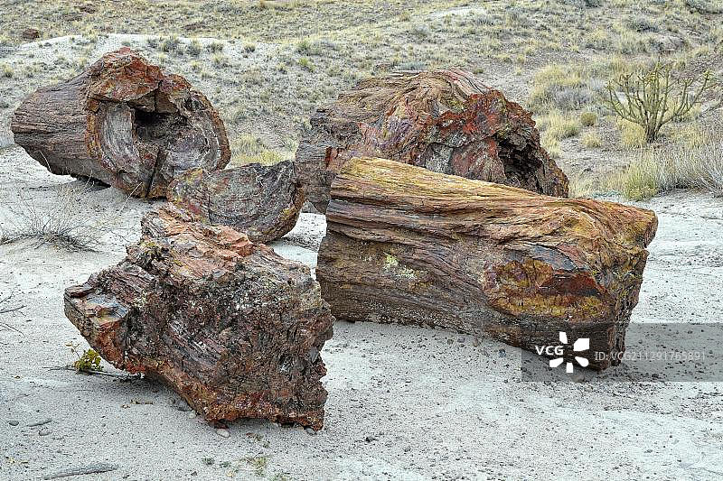 硅化树干碎片，水晶森林，石化森林国家公园，彩绘沙漠，美国亚利桑那州图片素材