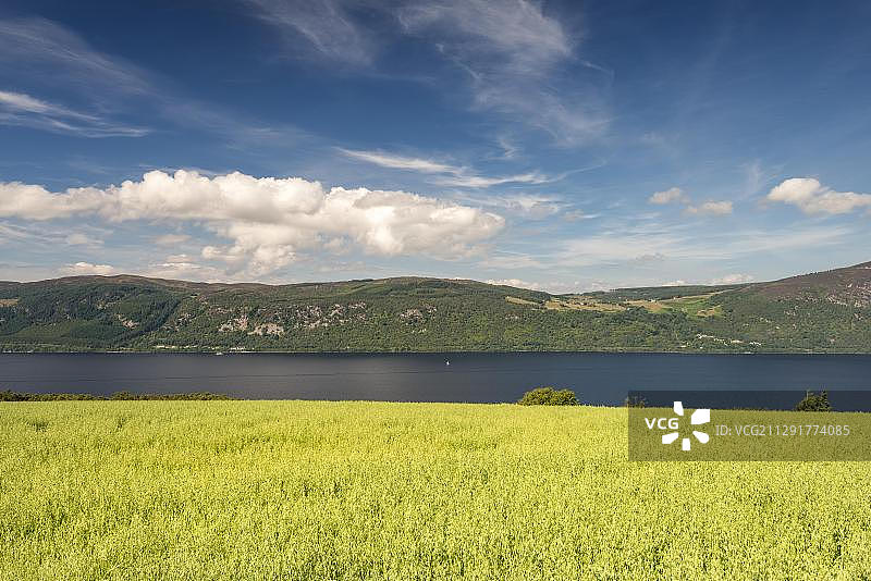 眺望尼斯湖的燕麦田，苏格兰西北高地图片素材