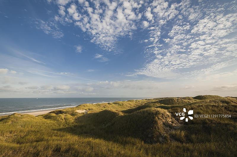 丹麦西日德兰半岛亨讷海滩的清晨沙丘景色图片素材
