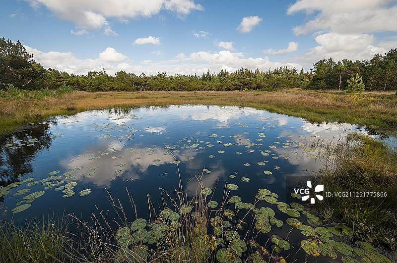 位于丹麦西日德兰半岛亨内海滩附近的湖泊湿地景观图片素材