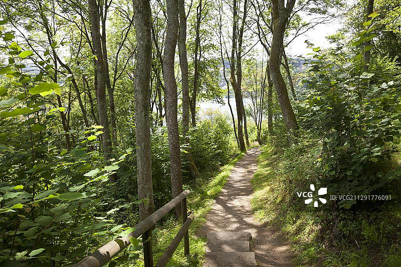 艾ifelsteig小径，沙尔肯梅尔马尔，靠近沙尔肯梅伦，道恩，艾ifel，莱茵兰-普法尔茨州，德国，欧洲图片素材