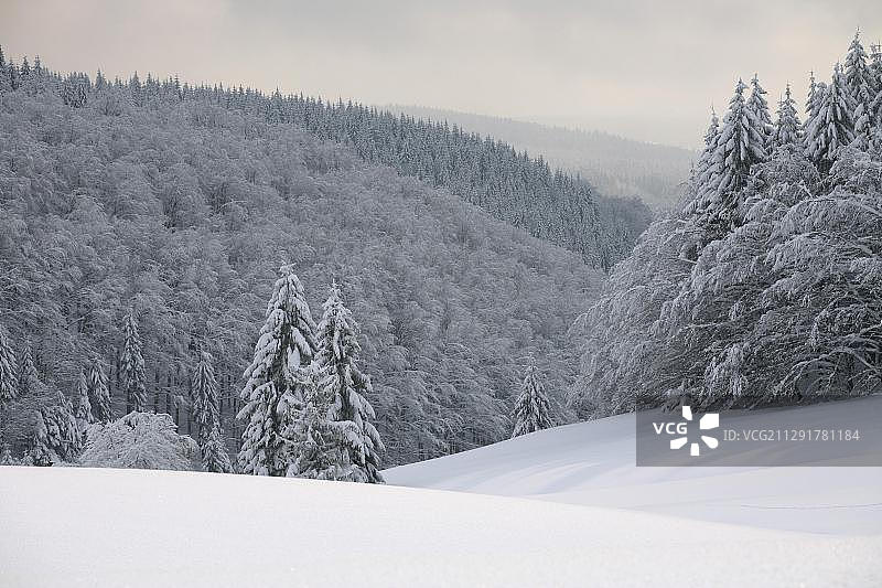 德国图林根州马塞尔贝格附近被白雪覆盖的图林根森林景色图片素材