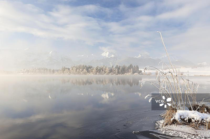 德国巴伐利亚阿尔高地区霍普芬湖冬季的清晨薄雾图片素材
