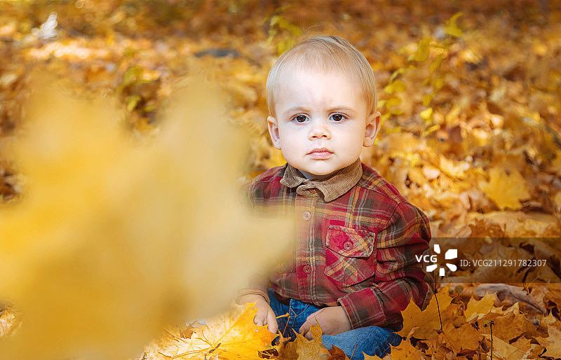 男婴坐在公园的落叶上图片素材