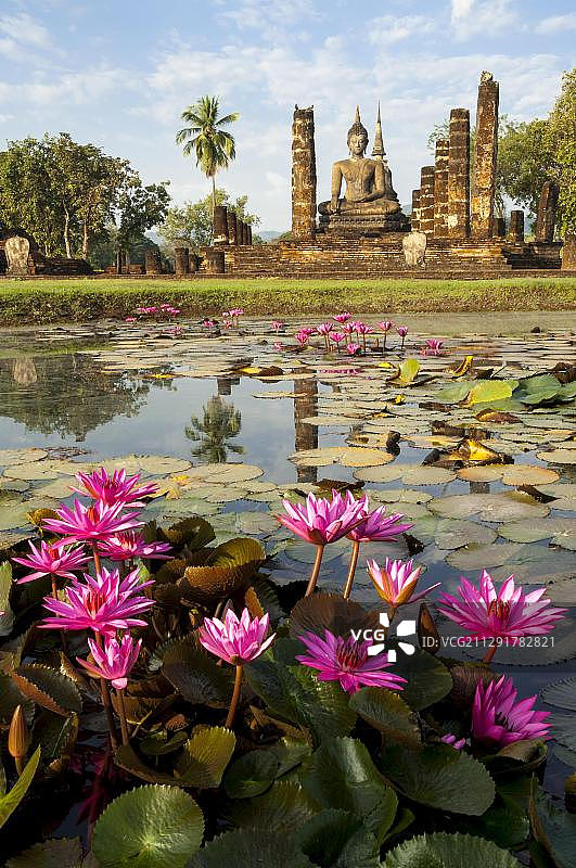 泰国素可泰历史公园的红色睡莲和佛像图片素材