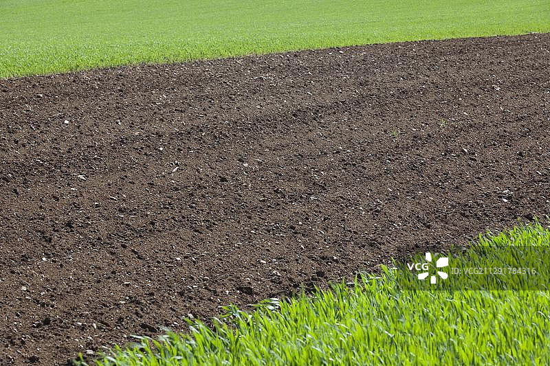 瑞士埃尔马廷根附近的田野文化景观图片素材