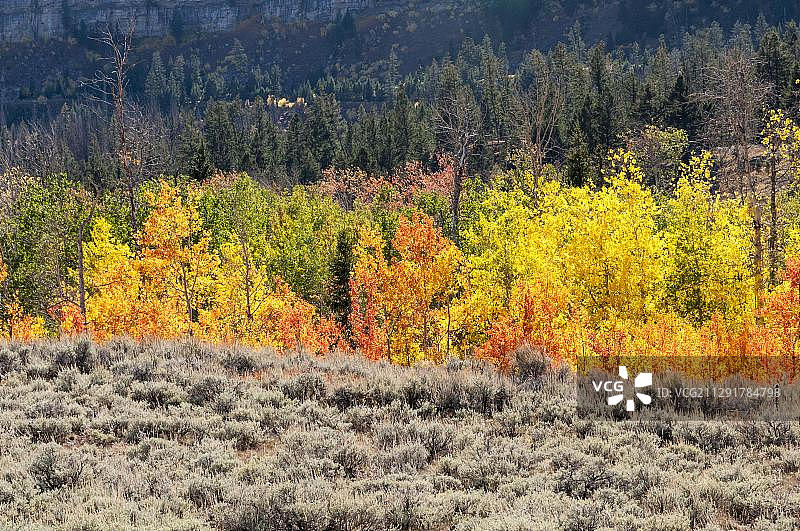 印度之夏：美国怀俄明州296号州际公路图片素材