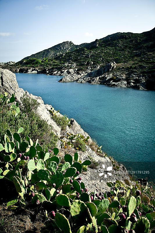 西班牙加泰罗尼亚El Port de la Selva附近的罗望达溪图片素材
