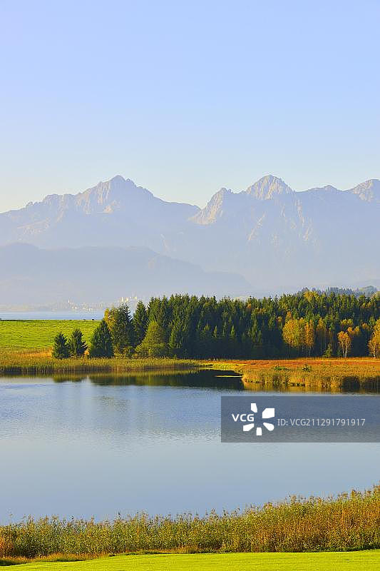 德国巴伐利亚州福森附近的福根湖及阿默尔山脉图片素材