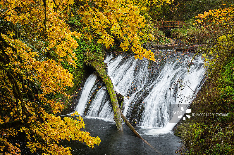 美国俄勒冈州银瀑州立公园的诺斯下瀑布图片素材