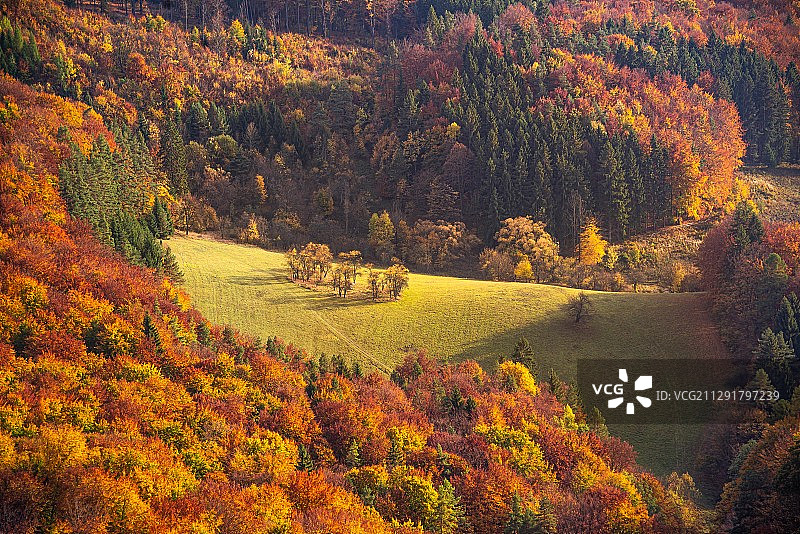 秋季森林高角度视图，斯洛伐克日利纳州图片素材
