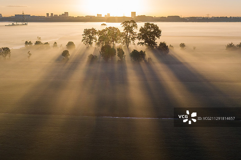 荷兰费尔德惠zen城市中的早晨雾气图片素材
