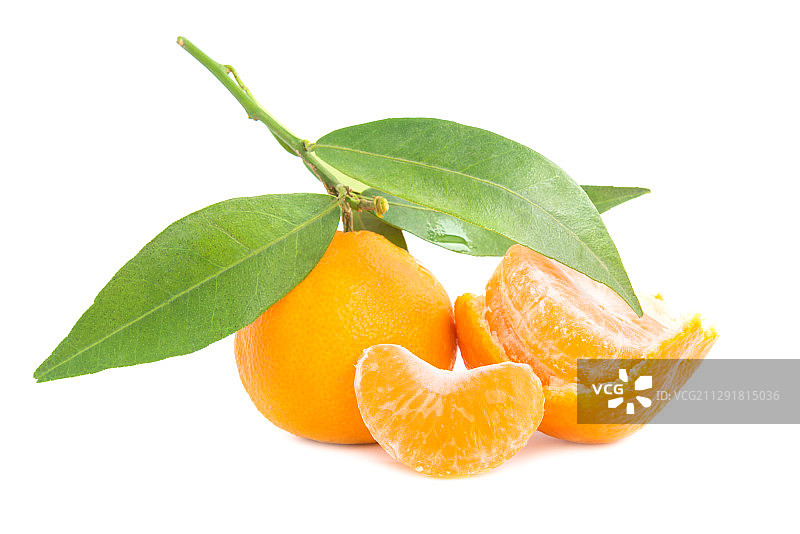 带绿叶的橙色橘子图片素材
