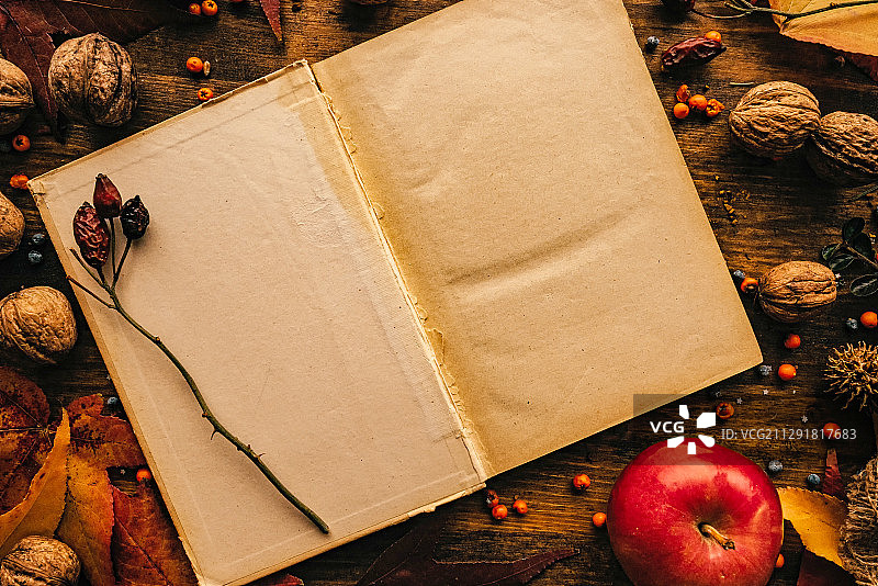 带有秋季装饰的空白日记页面的俯视图图片素材