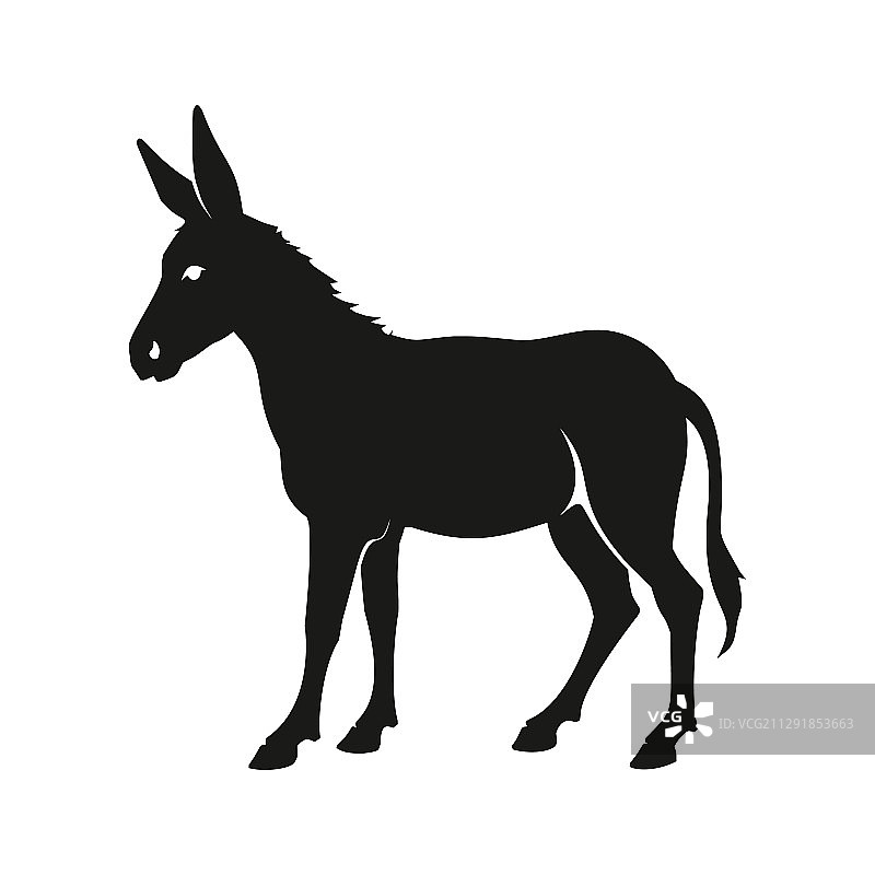 孤立的驴子轮廓图片素材