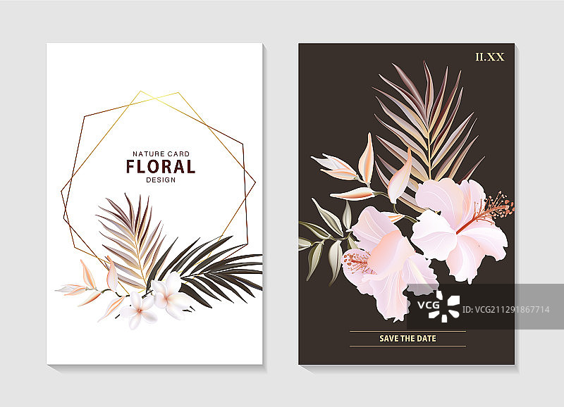 野芙蓉植物花卉套装图片素材