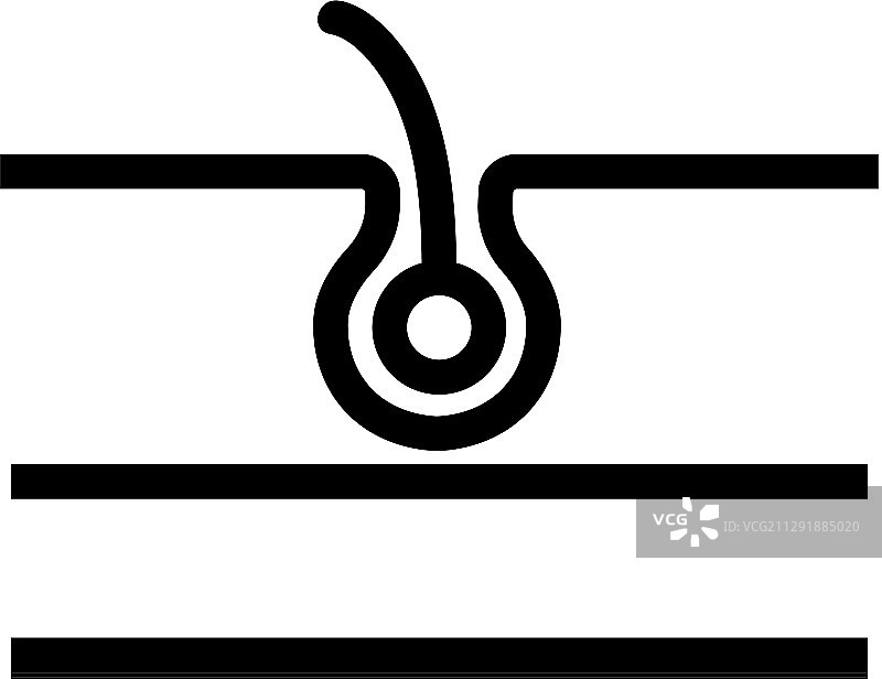 头发轮廓图标图片素材